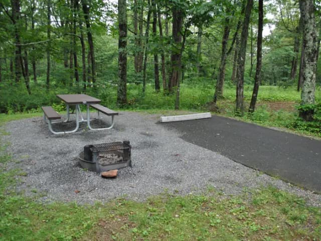 Mathews Arm Campground - Site C155