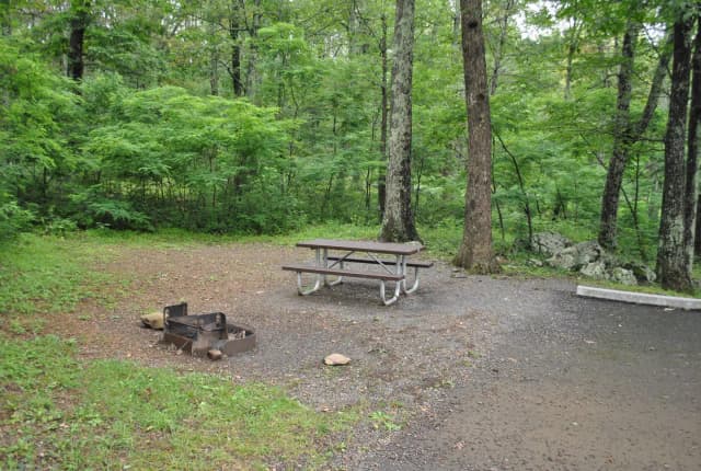 Mathews Arm Campground - Site C156