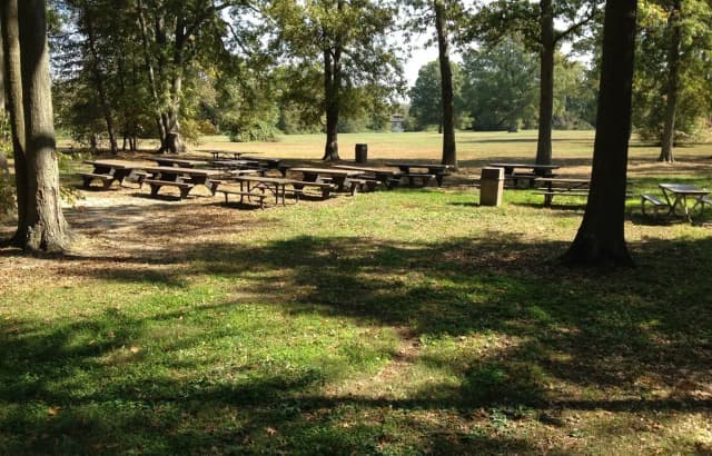 Area C-1 Picnic Area at Fort Hunt Park