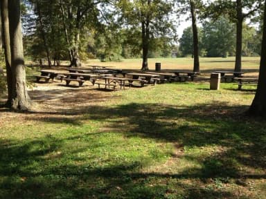 Area C-1 Picnic Area at Fort Hunt Park