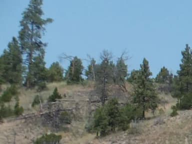 Site Lewis and Clark Group Use Campsites "A" at Hellgate Campground