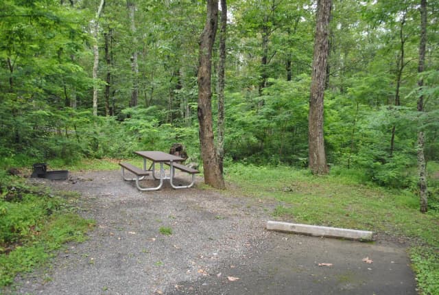 Mathews Arm Campground - Site C158