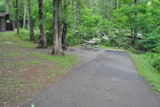 Mathews Arm Campground - Site C160