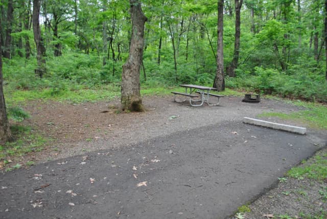 Mathews Arm Campground - Site C162