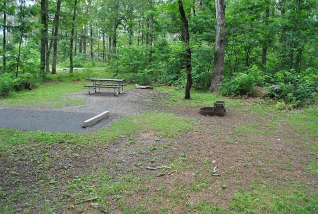 Mathews Arm Campground - Site C163