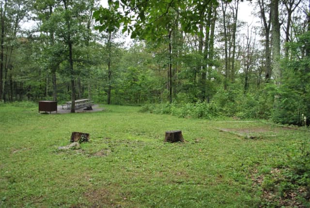 Mathews Arm Campground - Site D165
