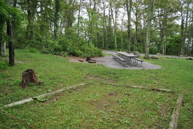 Mathews Arm Campground - Site D167