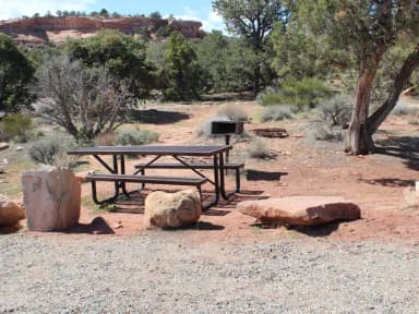 Picnic table and charcoal grill at Loop A, Site 9, surrounded by juniper trees, desert plants, and large natural rocks with red cliffs in the background.
