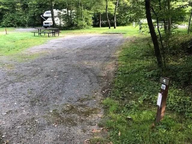 site 4.