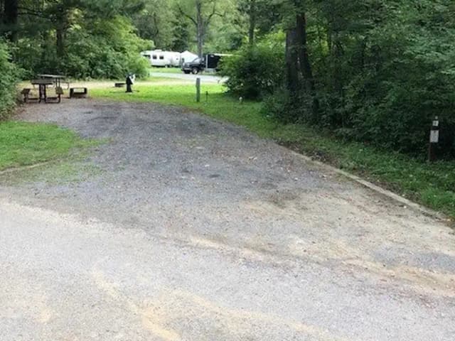 site 6