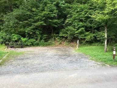 Loop 1 · Site 007 at Tionesta Rec. Area Campground