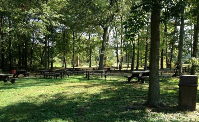 Area C-3 Picnic at Fort Hunt Park