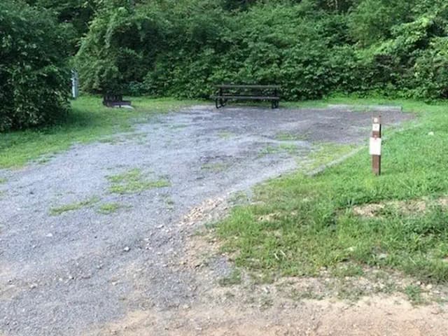 Loop 1 · Site 008 at Tionesta Rec. Area Campground