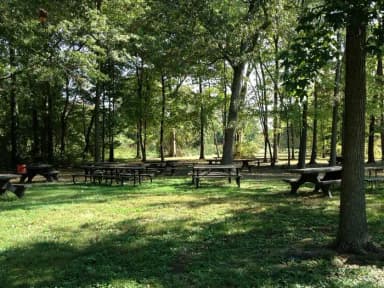 Area C-3 Picnic at Fort Hunt Park