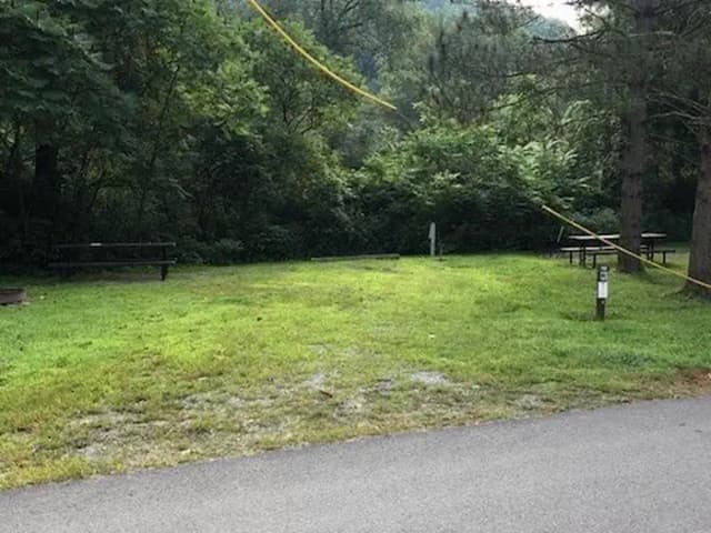 Site 010 at Tionesta Rec. Area Campground