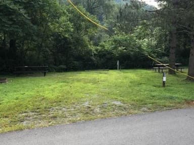 Site 010 at Tionesta Rec. Area Campground