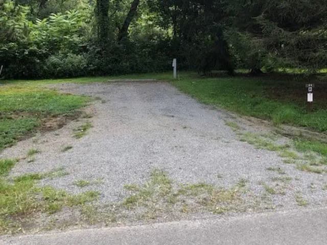 Site 011 at Tionesta Rec. Area Campground