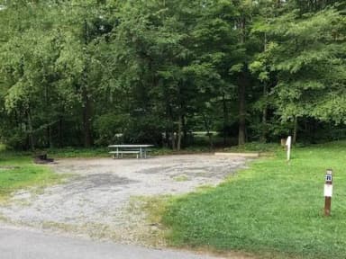 Site 012 at Tionesta Rec. Area Campground