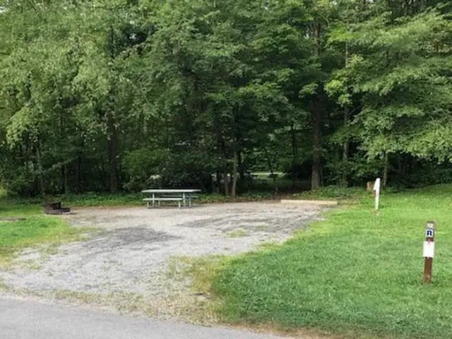 A photo of Site 012 of Loop 1 at TIONESTA REC. AREA CAMPGROUND with Full Hookup