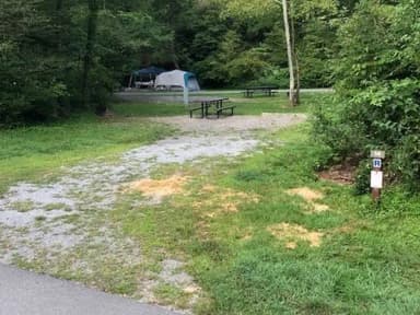 Site 014 at Tionesta Rec. Area Campground
