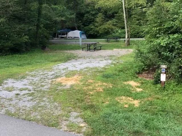 Site 014 at Tionesta Rec. Area Campground