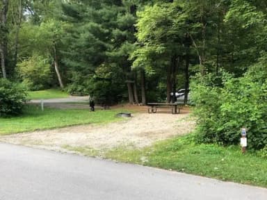 Site 016 at Tionesta Rec. Area Campground