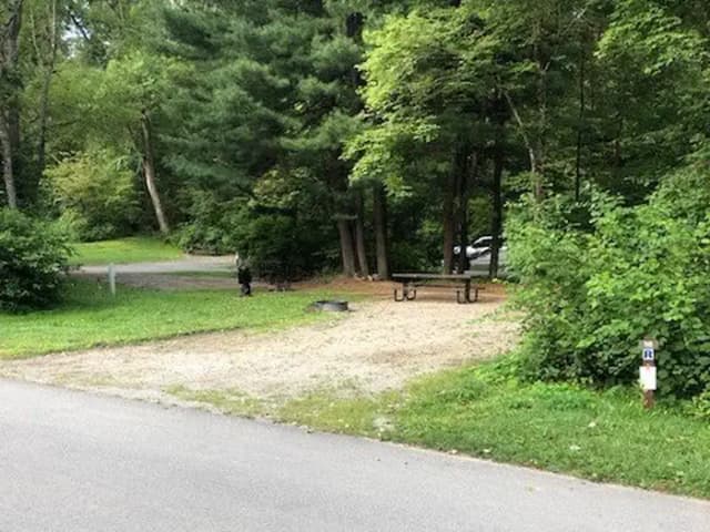 A photo of Site 016 of Loop 1 at TIONESTA REC. AREA CAMPGROUND with Full Hookup