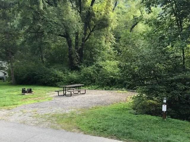 Site 017 at Tionesta Rec. Area Campground