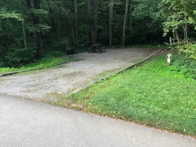Site 021 at Tionesta Rec. Area Campground