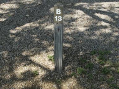B 13
