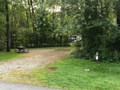 A photo of Site 025 of Loop 3 at TIONESTA REC. AREA CAMPGROUND with Full Hookup