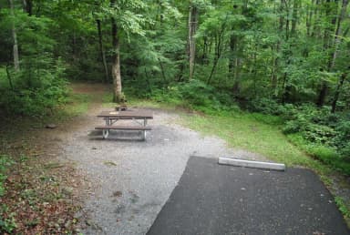 Mathews Arm Campground - Site A001