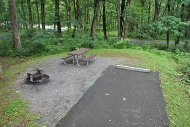Mathews Arm Campground - Site A002