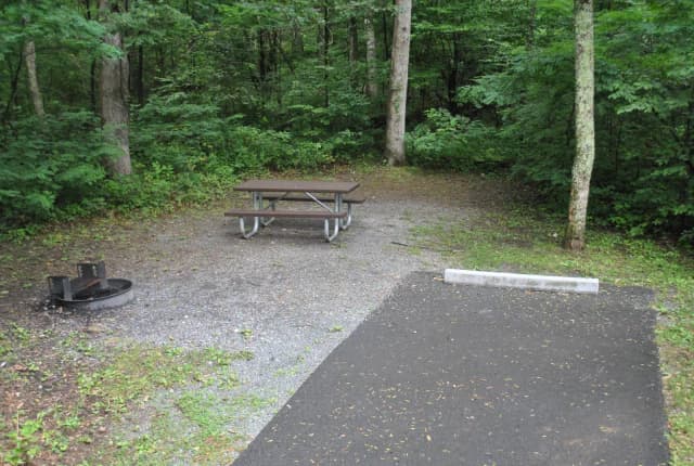Mathews Arm Campground – Site A003