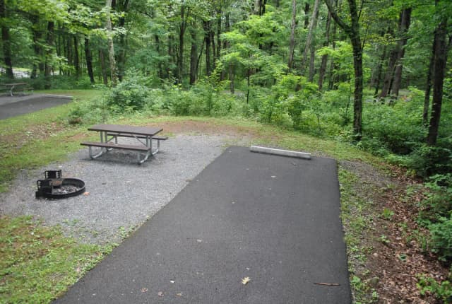 Mathews Arm Campground – Site A004