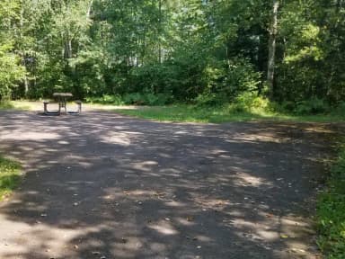 Loop PAPE · Site 019 at Day Lake