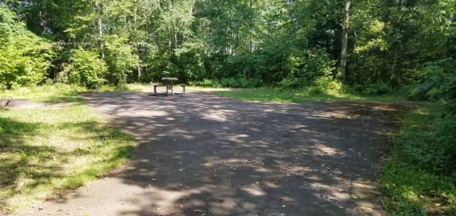 Site #19