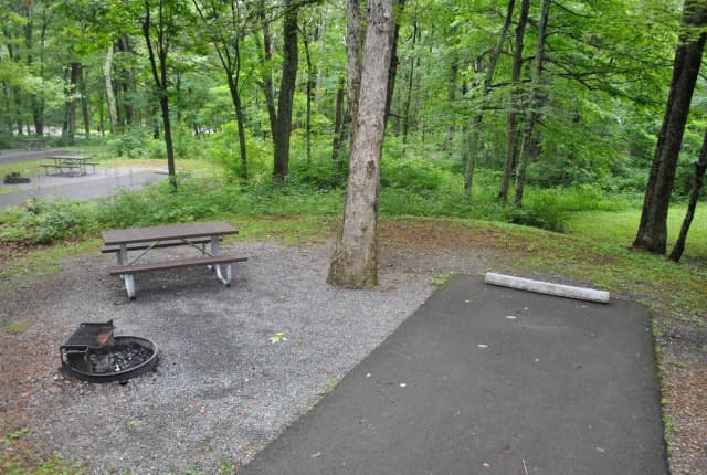 Mathews Arm Campground – Site A006