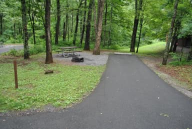 Mathews Arm Campground – Site A006