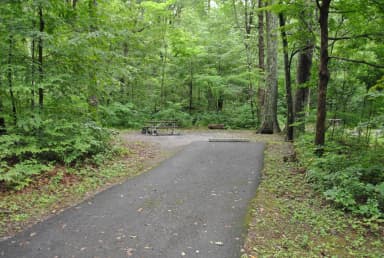 Mathews Arm Campground – Site A005