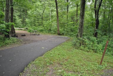 Mathews Arm Campground – Site A007