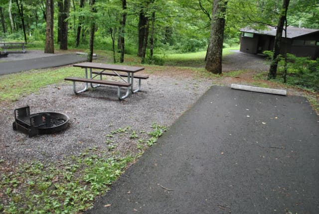 Mathews Arm Campground – Site A008