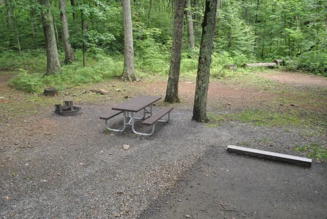 Mathews Arm Campground – Site A009