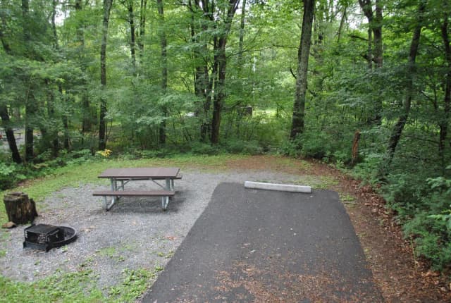 Mathews Arm Campground – Site A010