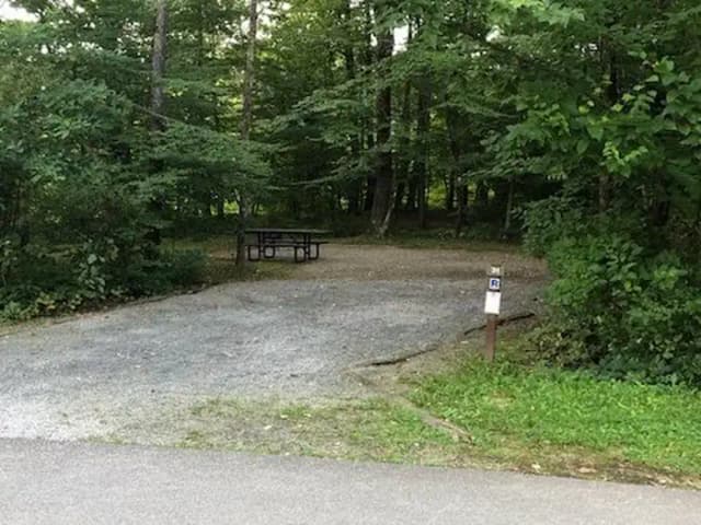 Site 031 at Tionesta Rec. Area Campground