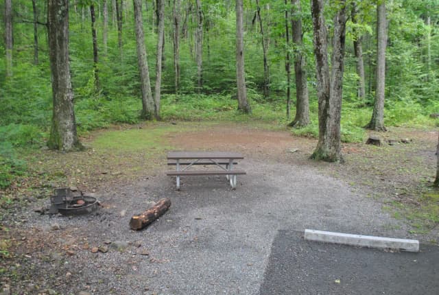 Mathews Arm Campground – Site A011