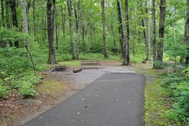 Mathews Arm Campground – Site A011