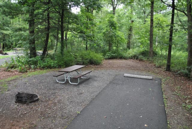 Mathews Arm Campground – Site A012