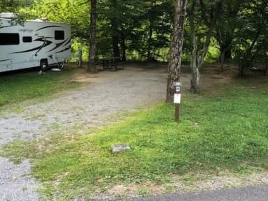 Site 038 at Tionesta Rec. Area Campground