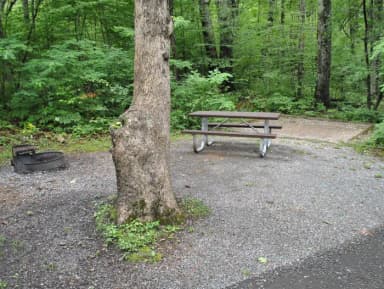 Mathews Arm Campground – Site A013